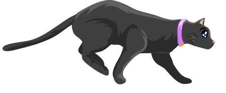 cat_run