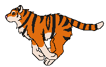 tigerrun_by_rabbitwolf2000-d7o20jx
