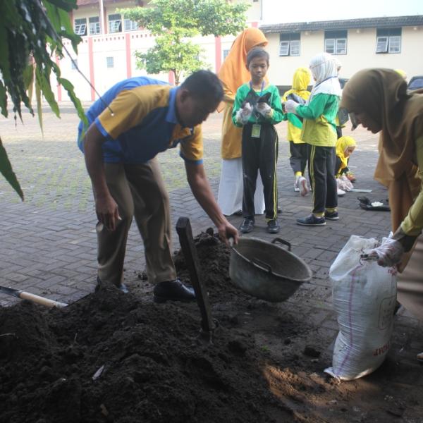 Kegiatan Menanam Cabai di Polybag Kelas 3