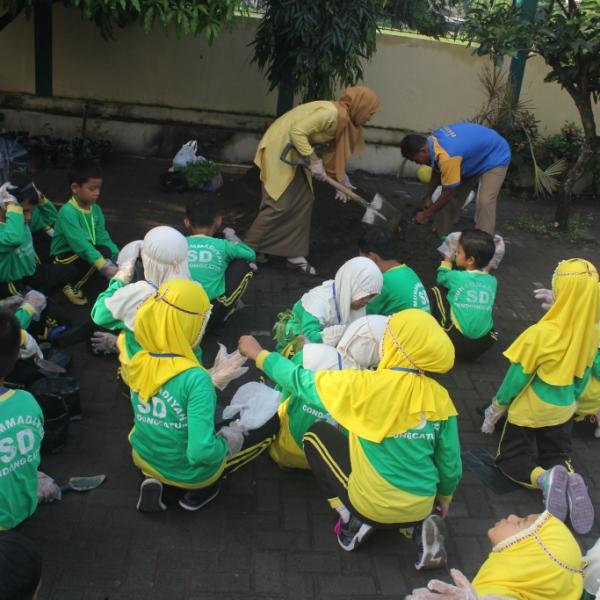 Kegiatan Menanam Cabai di Polybag Kelas 3