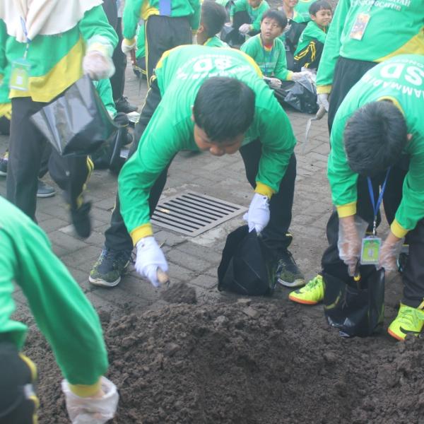 Kegiatan Menanam Cabai di Polybag Kelas 3