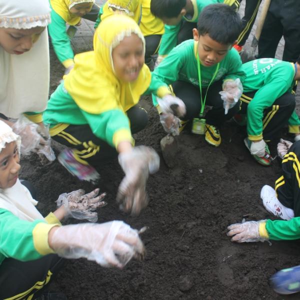 Kegiatan Menanam Cabai di Polybag Kelas 3