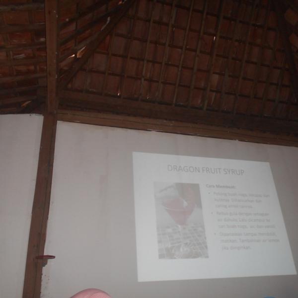 Outbond Kelas 1 Sabila Farm Kebun Buah Naga 2017