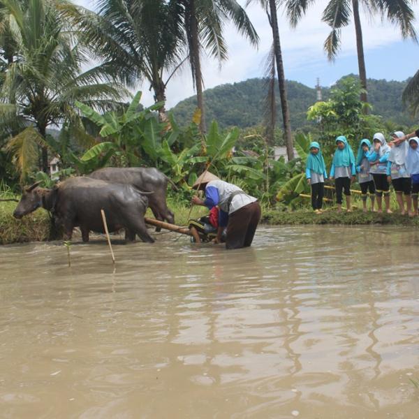 Outbond Kelas 3 DolanDeso Tahun 2017