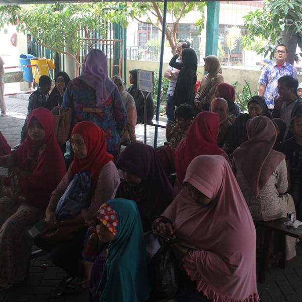 PPDB 2015