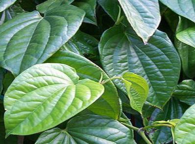 Sumber Daya Alam Indonesia