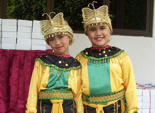 dcp_8204s