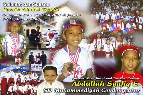 syafiq-juara-olim-sain-nasional-copy