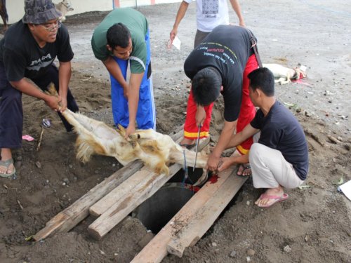 img_0983_1_1326525884