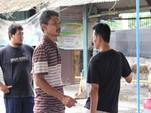 img_0987_1_1326525857