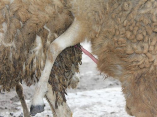 img_0988_1_1326525857