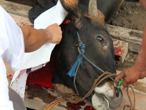 img_1026_1_1326525857