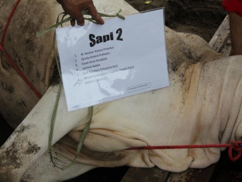 img_1047_1_1326525858