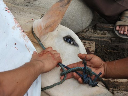 img_1052_1_1326525857