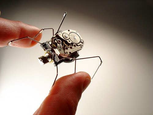 small_robotic_insect