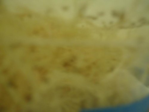 dsc01888_1