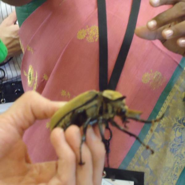 belajar-di-museum-learning-activity